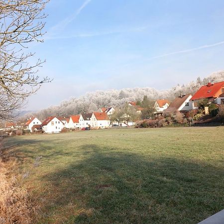 Ferienwohnung Unterm Schloss Bei Inge Reichelsheim Esterno foto